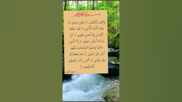 #سورة_التين #ايات_قرانيه_قصيره #shayari #shots #shotsyoutube #shots_video