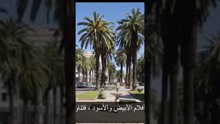 Best Places to visit in Morocco 🇲🇦 Casablanca