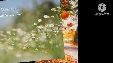 🎤.  Mùa Thu Còn Mãi / ST :  Nguyễn Huy Điền