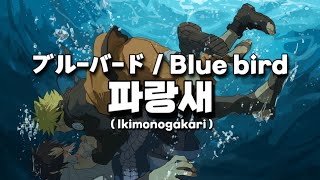 ブル-バ-ド/Blue bird | 파랑새 (Ikimonogakari) [가사/해석/번역]