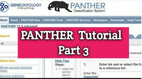 PANTHER database Bioinformatics sequence search HMM  | PANTHER tutorial - Part 3 | Bioinformatics