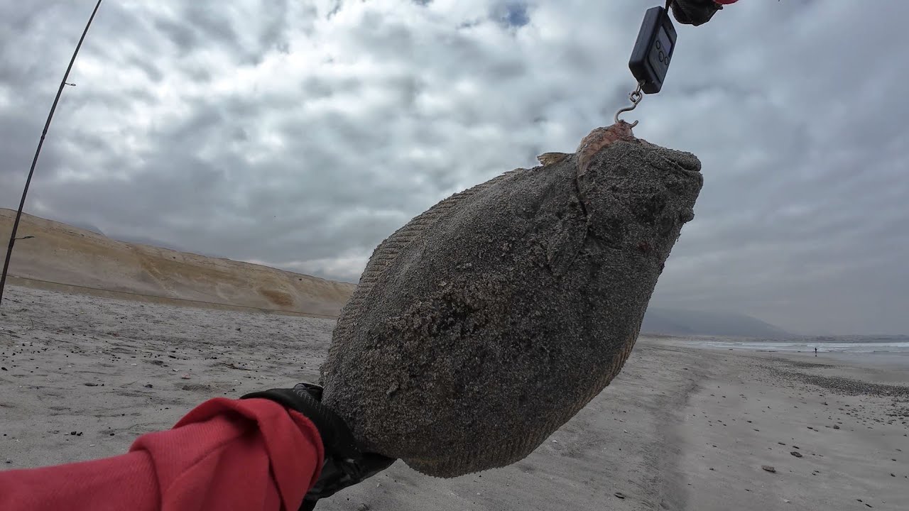 En busca de Lenguados, Pesca desde orilla de playa en MEJILLONES - CHILE