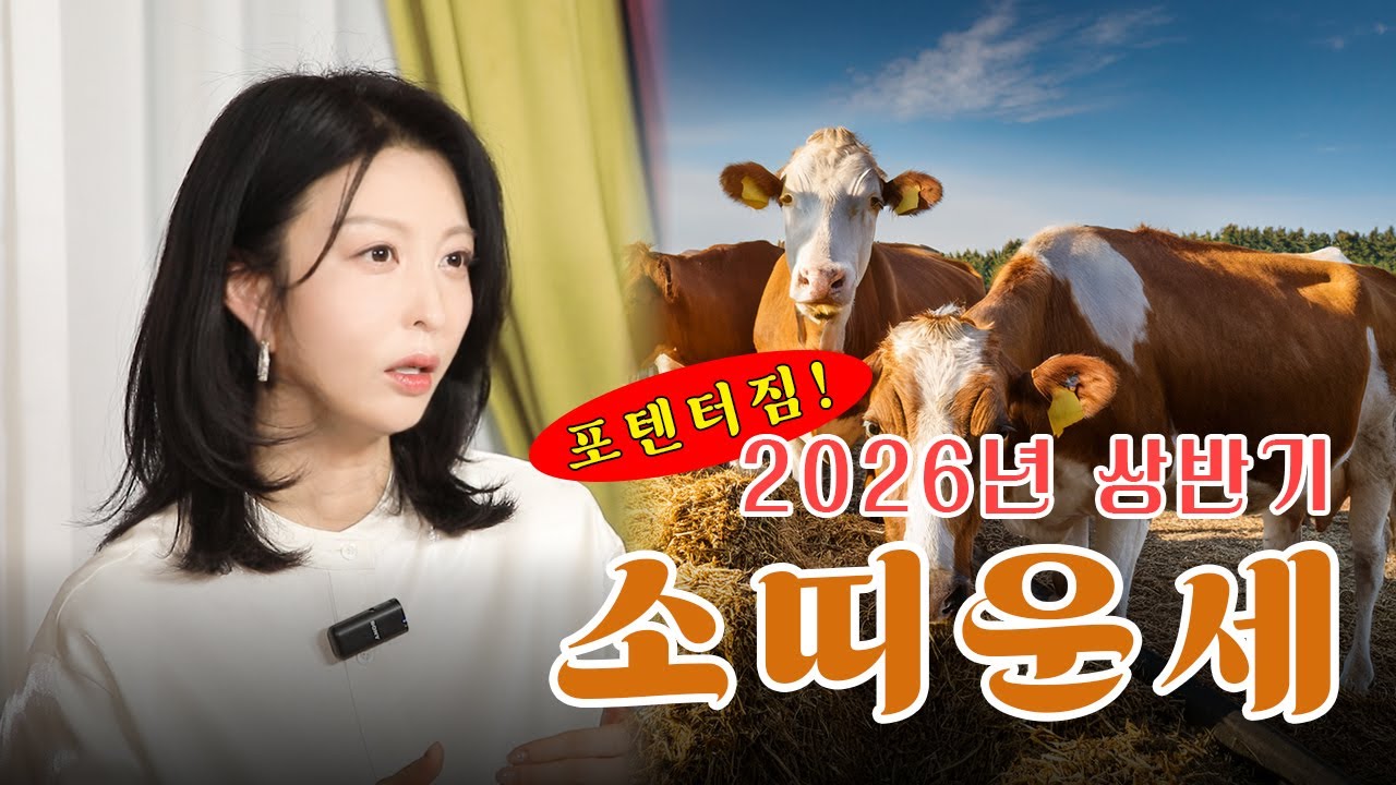 2026년 상반기 소띠 운세!! 