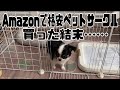 【垂れ耳チワワ】Amazonで4980円のペットサークルを買ってみた… Chihuahua