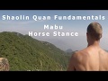 Shaolin Horse Stance Endurance