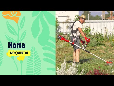 Horta no quintal