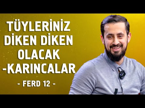 Video: Dadlılığın mənası nədir?