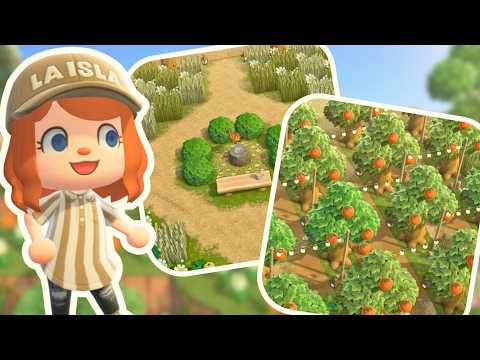 I Toured The Best Animal Crossing Island
