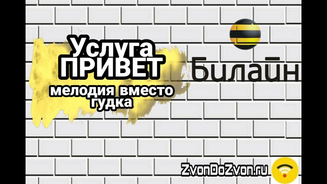 Описание услуги и условия предоставления