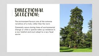 Types of selection