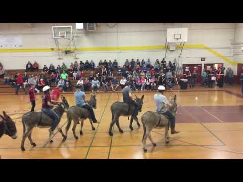 Donkey Basketball at