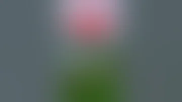 ما هي وضعية الملعقه في الجماع 