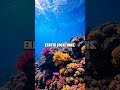 Unique Hobbies of Millionaires