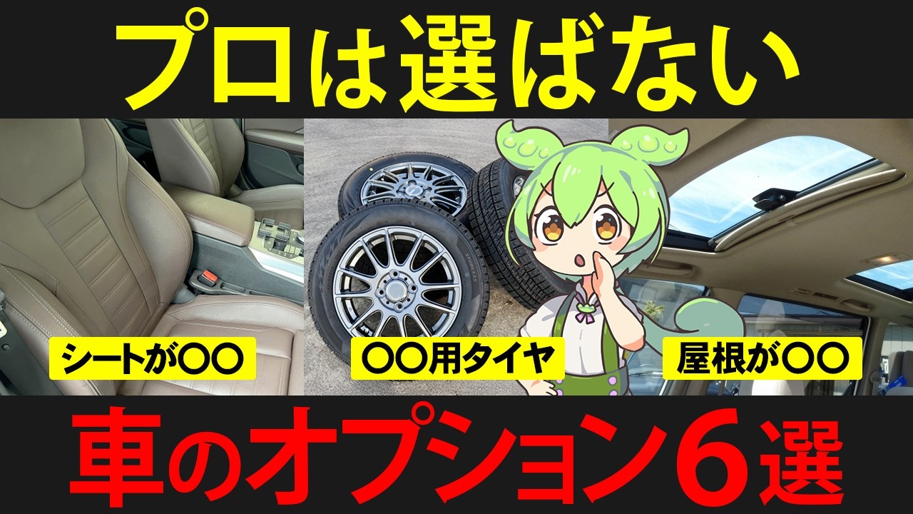 プロは選ばない！つけがちな車のオプションを購入してしまったずんだもんの末路