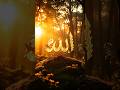 Elegant 17s Islamic Short | Allah’s Name Reflected in Nature’s Calm | MD EMON Chanel Exclusive