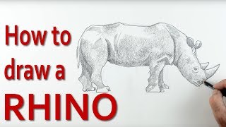 How to Draw a Rhino How to Draw a Rhino