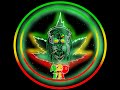 420fm le grand retour de ton mission favorite 