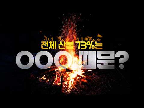 ’설마’가 만든 모두의 재난, #산불