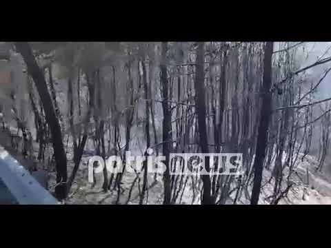 Στάχτη και καμμένη γη άφησε πίσω της η πυρκαγιά στα χωριά της Ολυμπίας (ΙΙ)