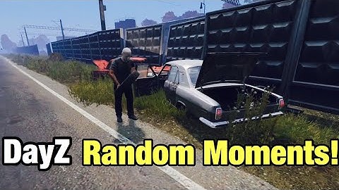 DayZ Standalone Random Moments!