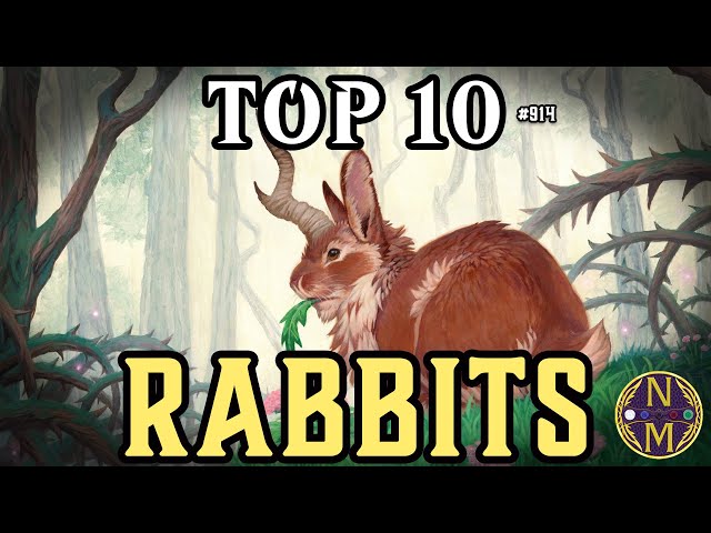 best rabbit cards mtg Elite Commander Deck - Baylen, The Haymaker - Naya Green Red White - EDH cEDH - 100 Card - Custom Deck The Five Best Commanders for