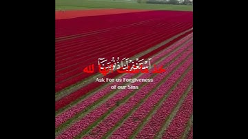 #قرآن #اسلام_صبحي #تلاوات #تلاوات_خاشعة #مصطفي دبابه#خشوع #تلاوة_مميزة #قرآن_كريم