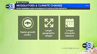 Climate change causing mosquito boom, study says