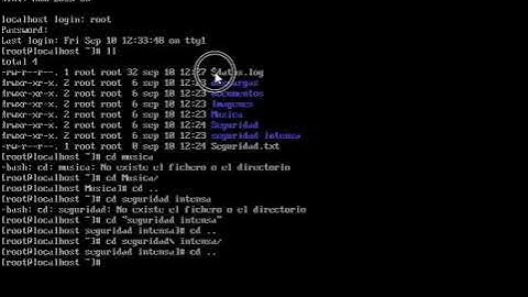 Case Sensitive en Terminal linux