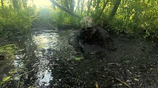 Bog Stuck - Masurian Bogs 2026 Day 1-2
