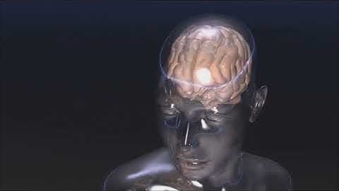 How the Neocortex Took Over: From Asteroid to AI