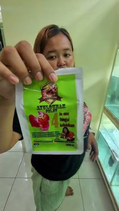 cemilan pakan untuk ikan louhan kesayangan