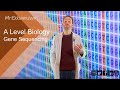 Decoding Life The Science and Techniques of DNA Sequencing