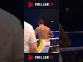 Usyks brutal ko against tonny bellew