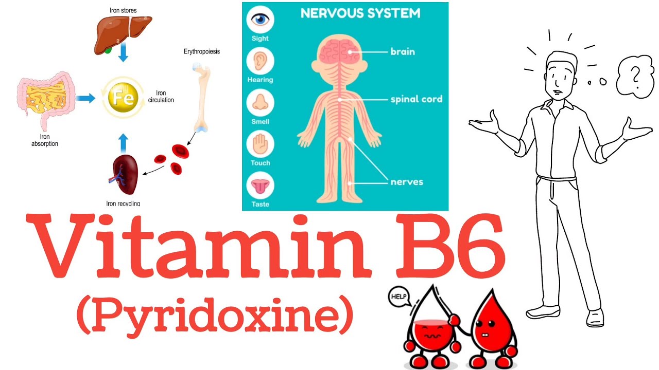 What is Pyridoxine Vitamin B6 Doses, Deficiency, Functions, Food