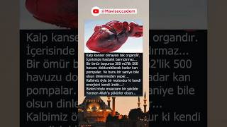 Allaha Şükürler Olsun