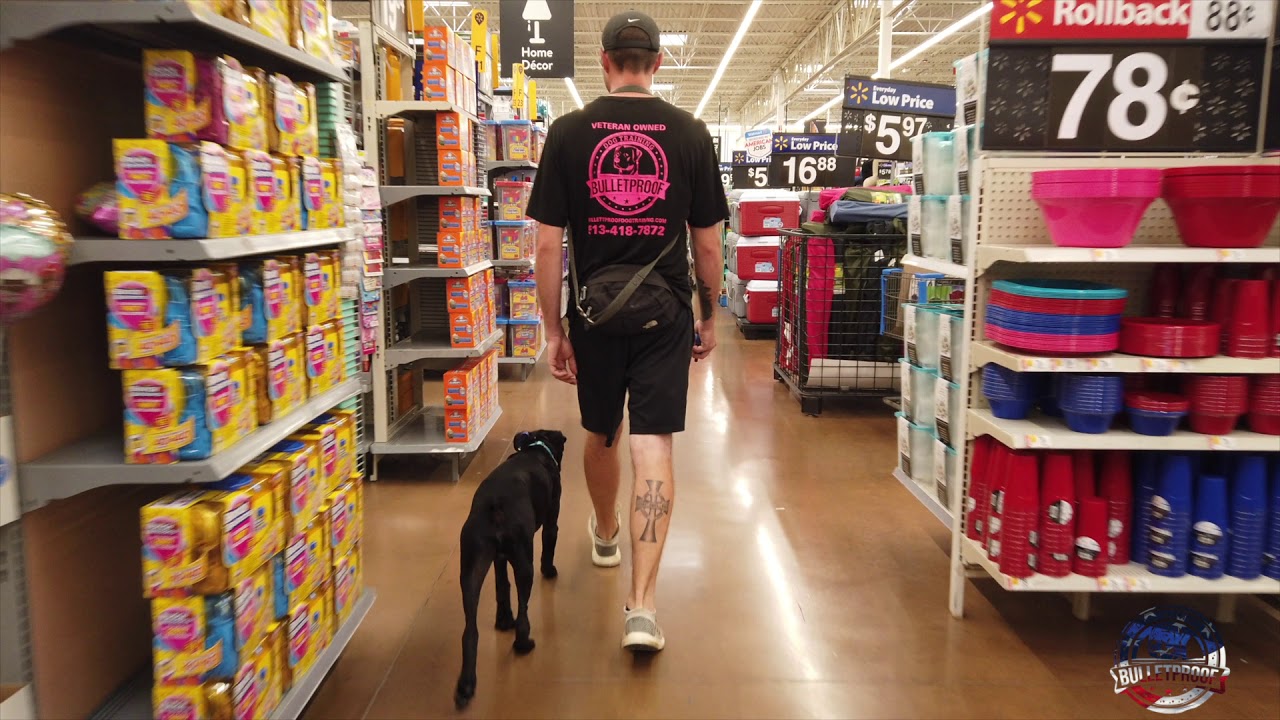 Amazing Transformation | “Tank” | Boxer puppy training crate schedule