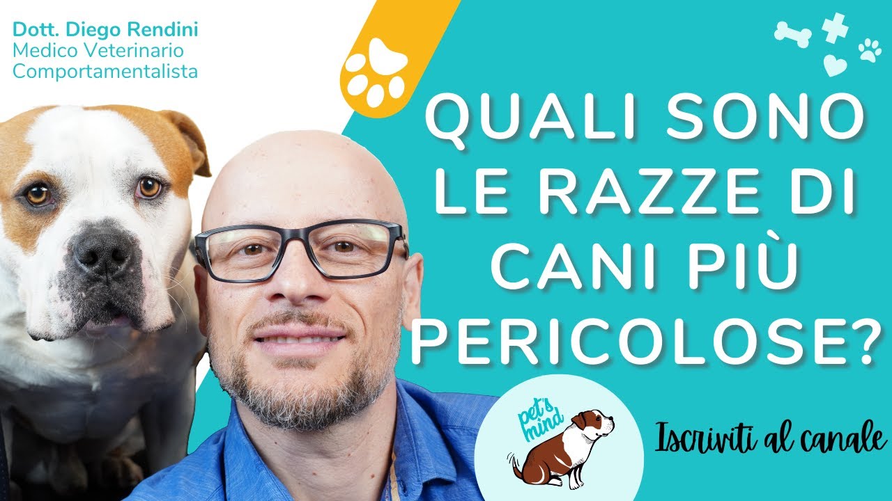 Quali sono le razze di cani più pericolose?