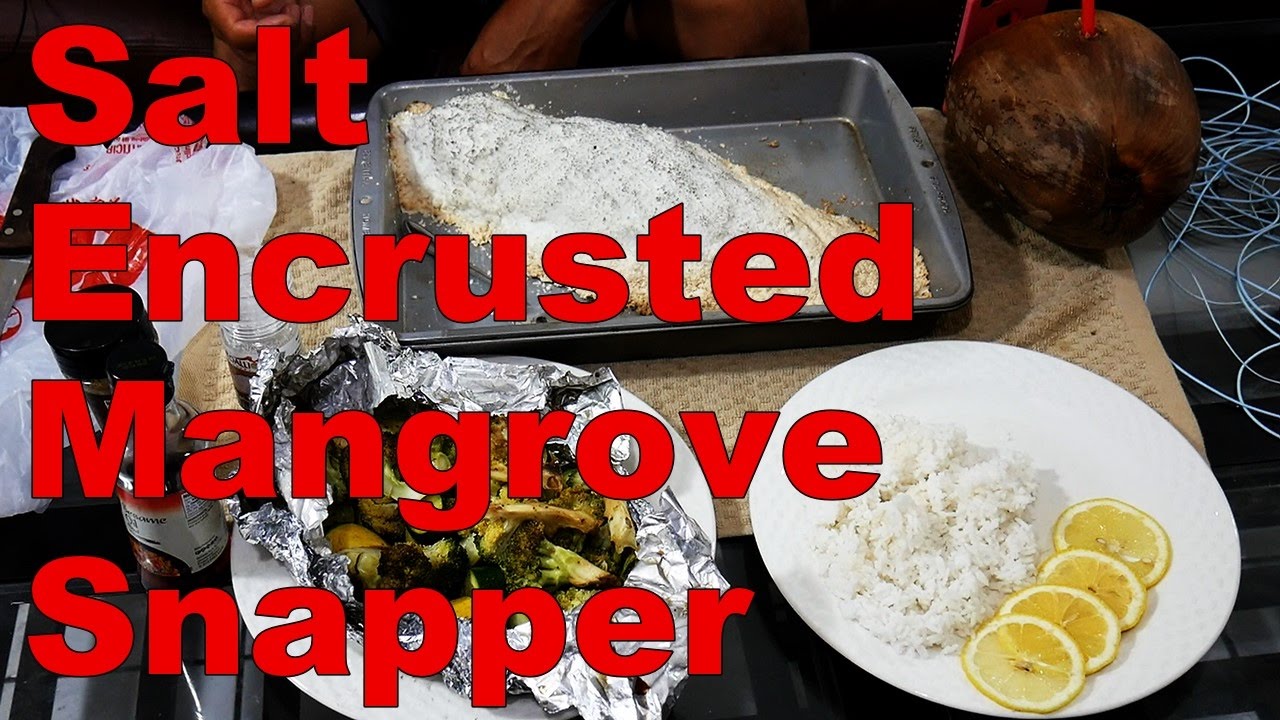 kayak flight Key West Kayak Cooking - Salt Encrusted Snapper - Catch and Cook