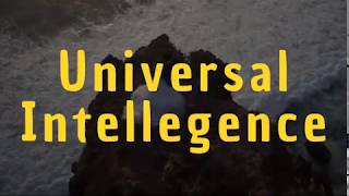 Awaken to Universal Intelligence