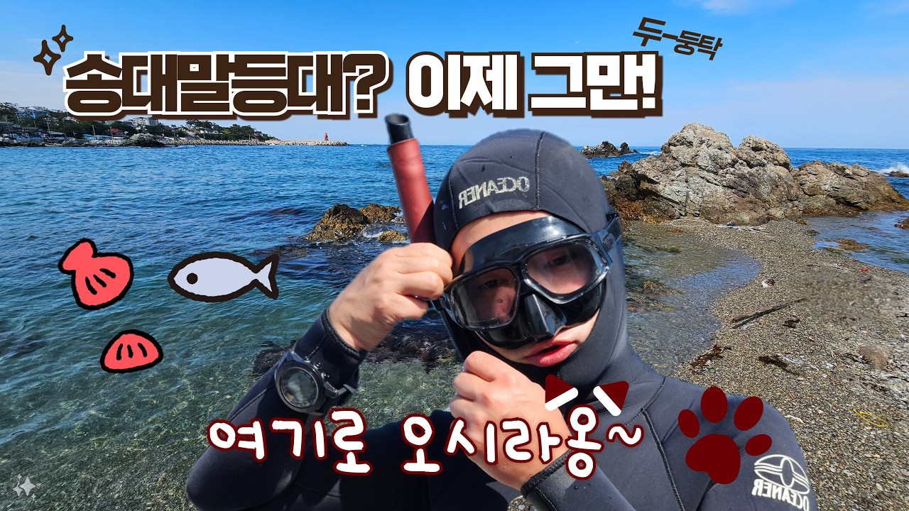송대말등대?? 거긴 다 알아! 꿀 스팟은 따로 있다! 스노클링 추천!