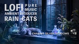 Chasing Silver Shadows | Relaxing Medieva l Lofi for Sleep & Study