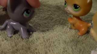 Lps Warrior Cats Into The Wild #18 Busted