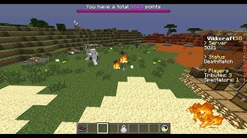 Hunger Games *VIKKCRAFT* - Exposing Hackers #4