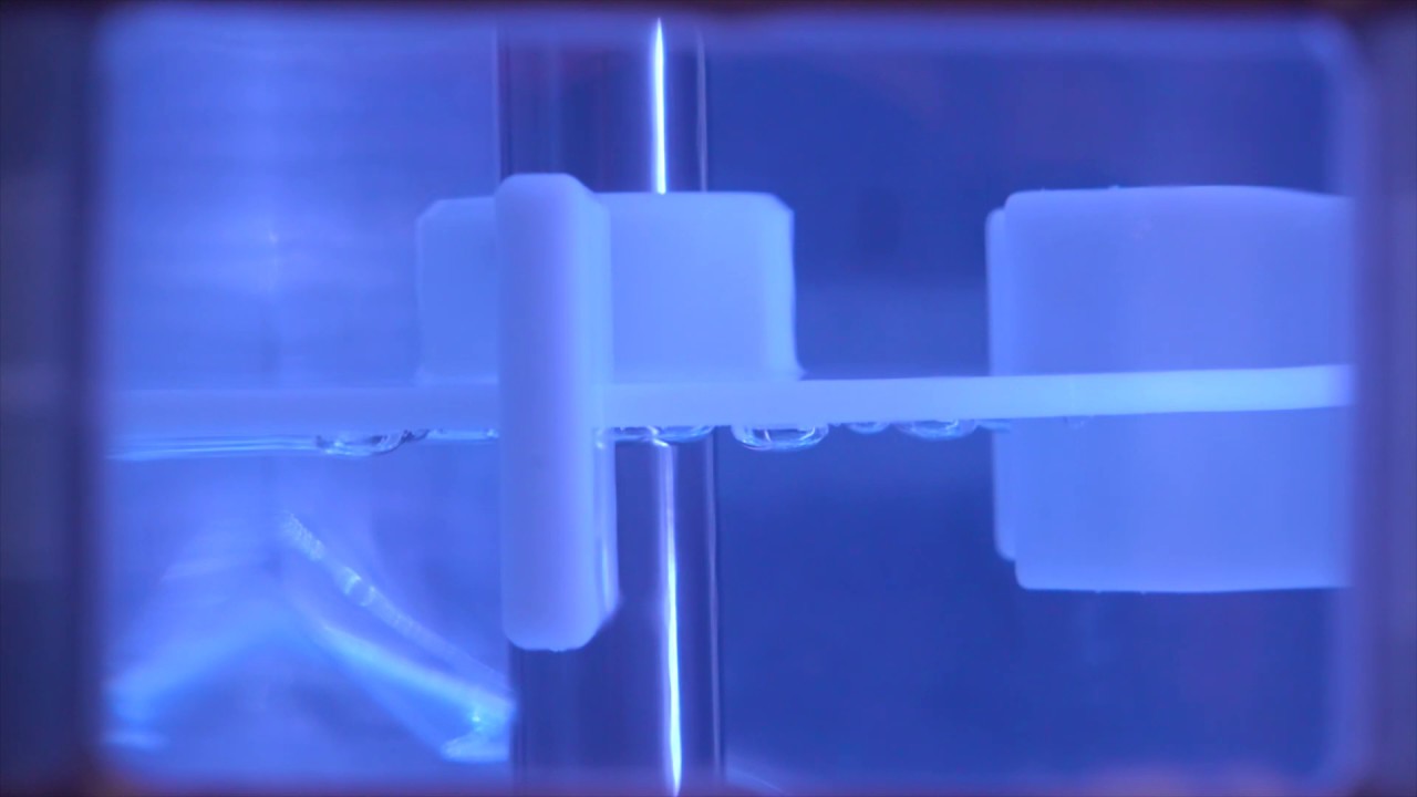 CSR® Single-Use Delivering Power for Microbial Processes