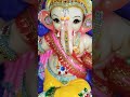 सिद्धीविनायक कला मंदिर, भुसावळContact:-महेश भोई - 8408833045(पत्ता-पांडुरंग टॉकीज, अतिथीलॉज भुसावळ)