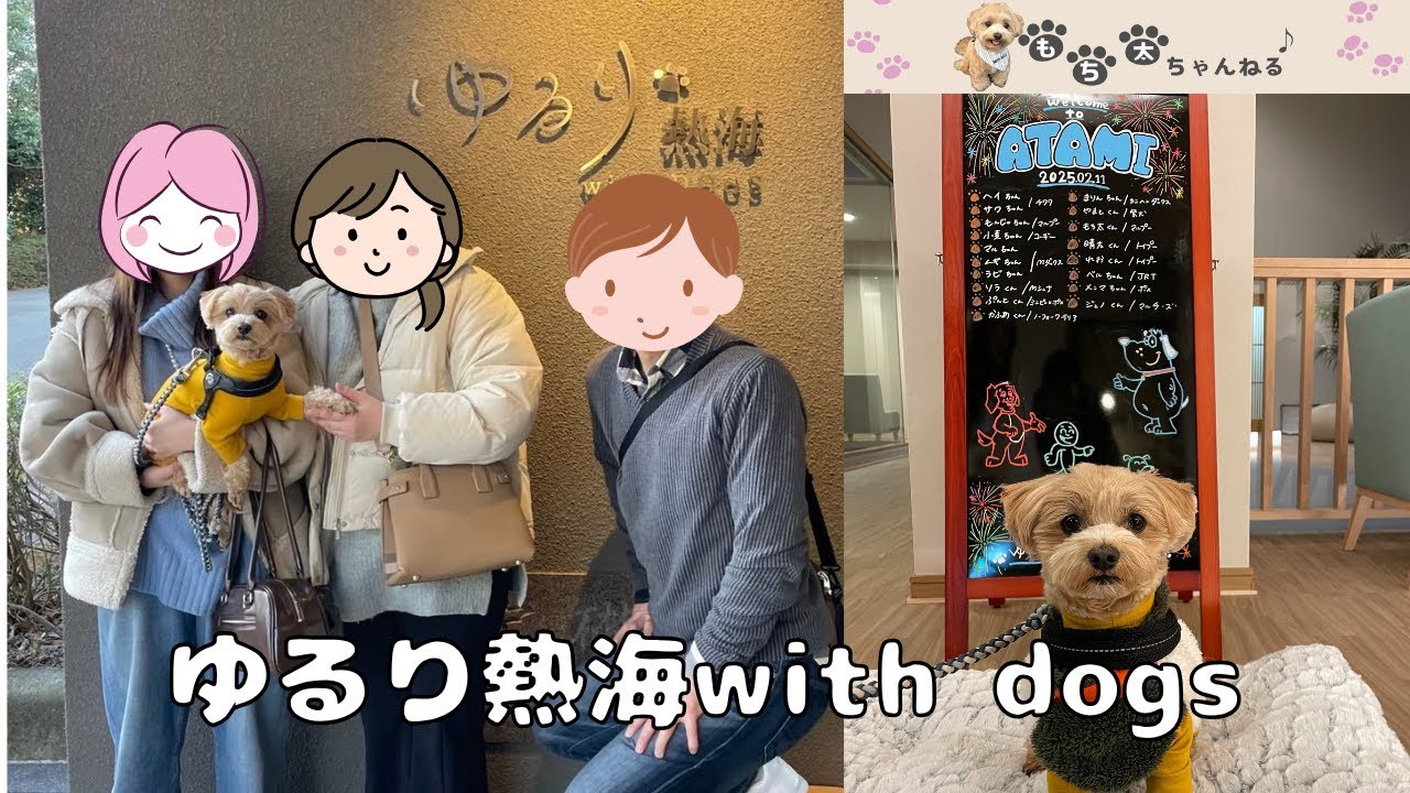 ゆるり熱海WithDogs☆もち太と♨旅行