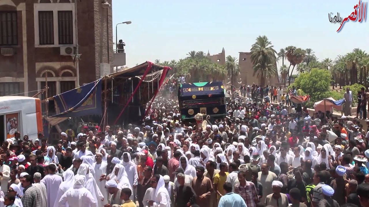 دورة  مولد ابوالحجاج بالاقصر 2014