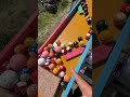 Marble Run ☆ Guppy Marble Run⑥