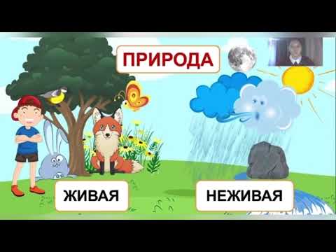 Видео-урок  "Мир природы и человека"  для обучающихся начальной школы
