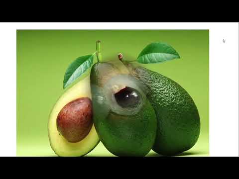 Video Nhận biết quả 1 hạt và quả nhiều hạt - Huỳnh Thuý Loan - youtube